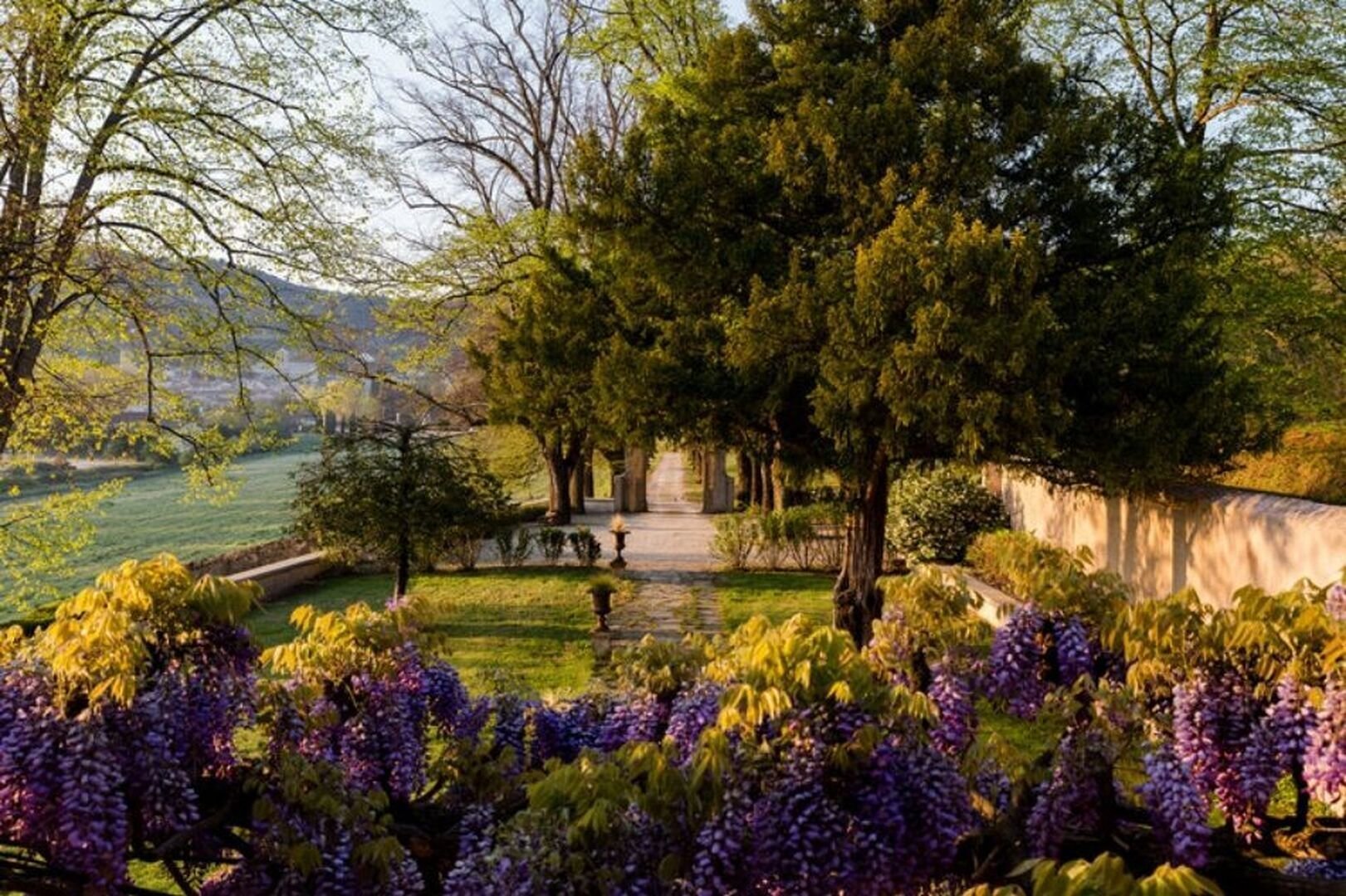 Frankrijk, de Provence